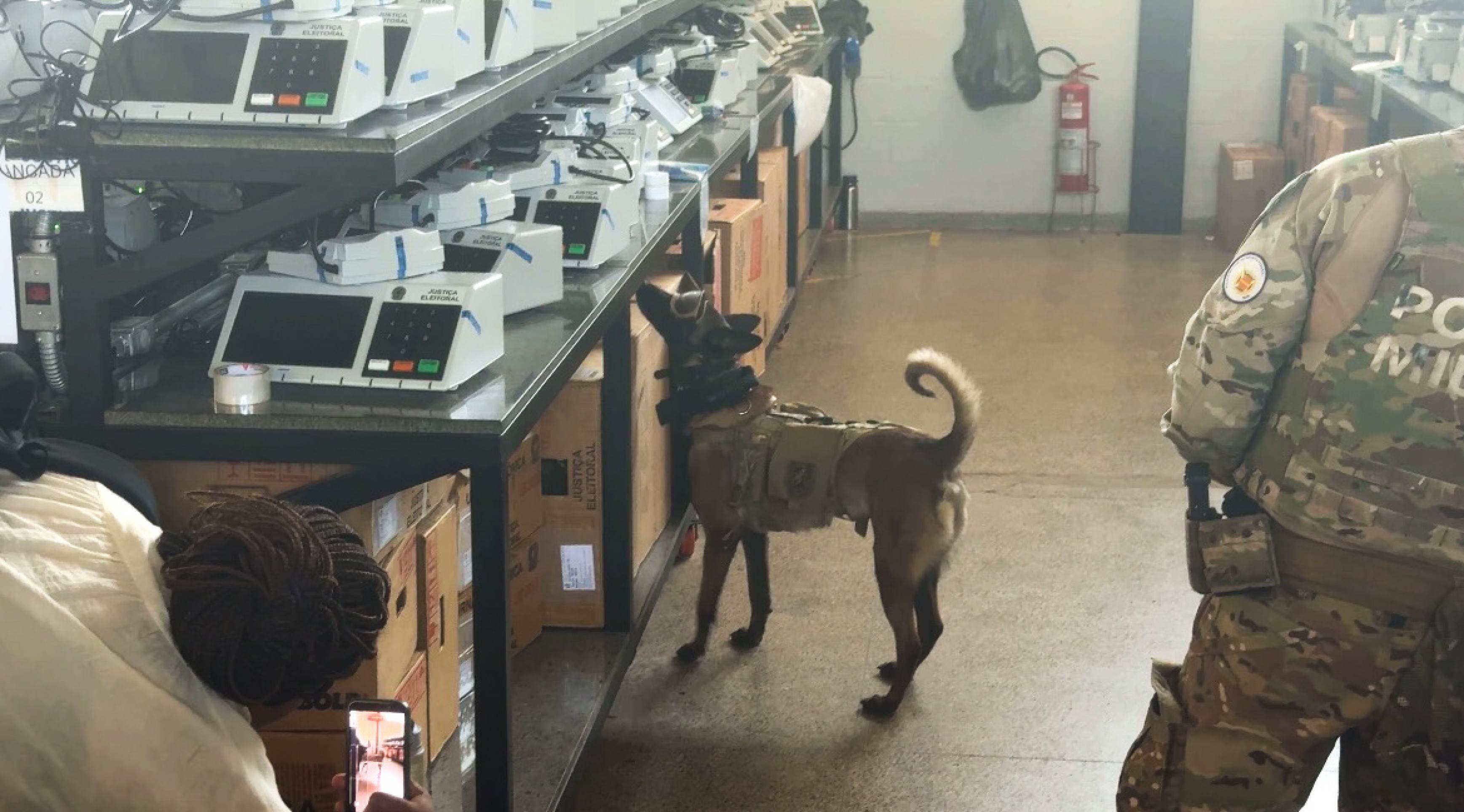 PMDF usa cães farejadores em vistoria a urnas eletrônicas do TRE-DF