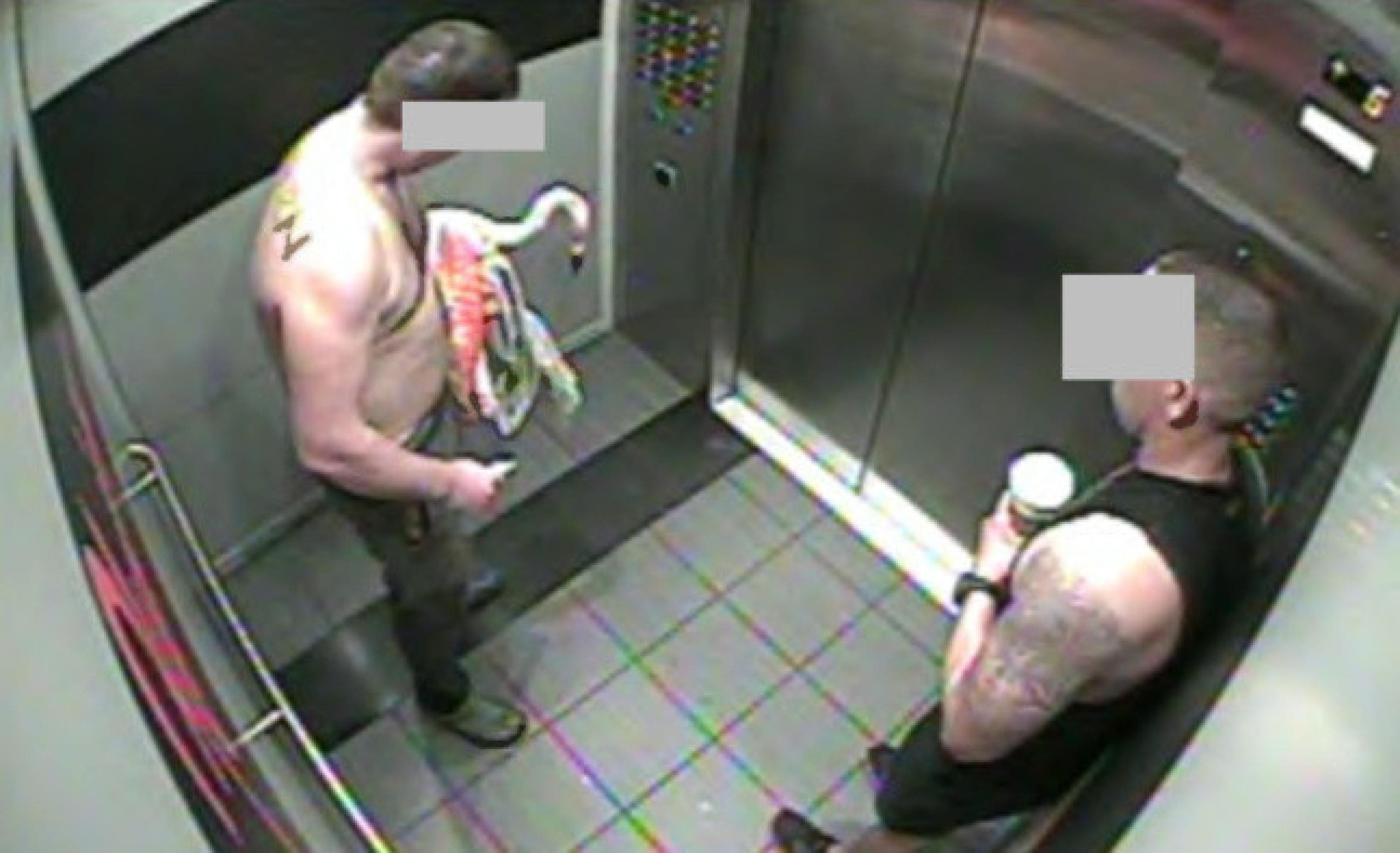 Homem é condenado após sequestrar flamingo e levá-lo para quarto de hotel - Foto