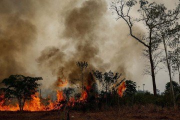 Queimadas na Amazônia liberam bilhões de toneladas de CO2 na atmosfera, superando a absorção da floresta e acelerando a degradação ambiental - (crédito: Michael Dantas/AFP) Queimadas na Amazônia liberam bilhões de toneladas de CO2 na atmosfera, superando a absorção da floresta e acelerando a degradação ambiental - (crédito: Michael Dantas/AFP)