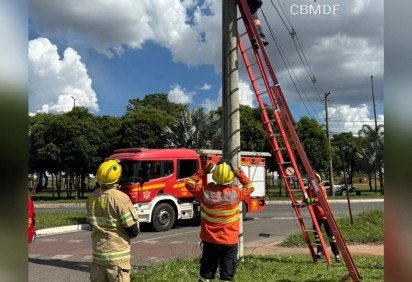 O homem foi resgatado e encaminhado a uma unidade básica de saúde -  (crédito: Reprodução:CBMDF) -O homem foi resgatado e encaminhado a uma unidade básica de saúde -  (crédito: Reprodução:CBMDF)