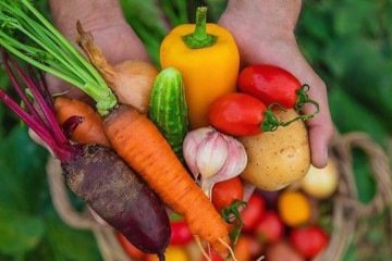 A manga é rica em antioxidantes e pesquisas indicam que ela pode reduzir os sinais visíveis do envelhecimento - (crédito: Getty Images) A manga é rica em antioxidantes e pesquisas indicam que ela pode reduzir os sinais visíveis do envelhecimento - (crédito: Getty Images)