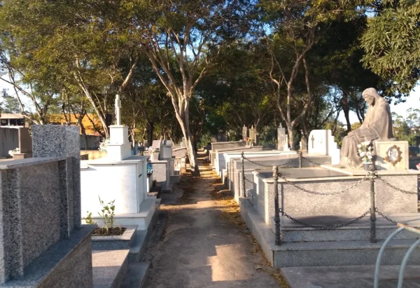 Reprodução/Google