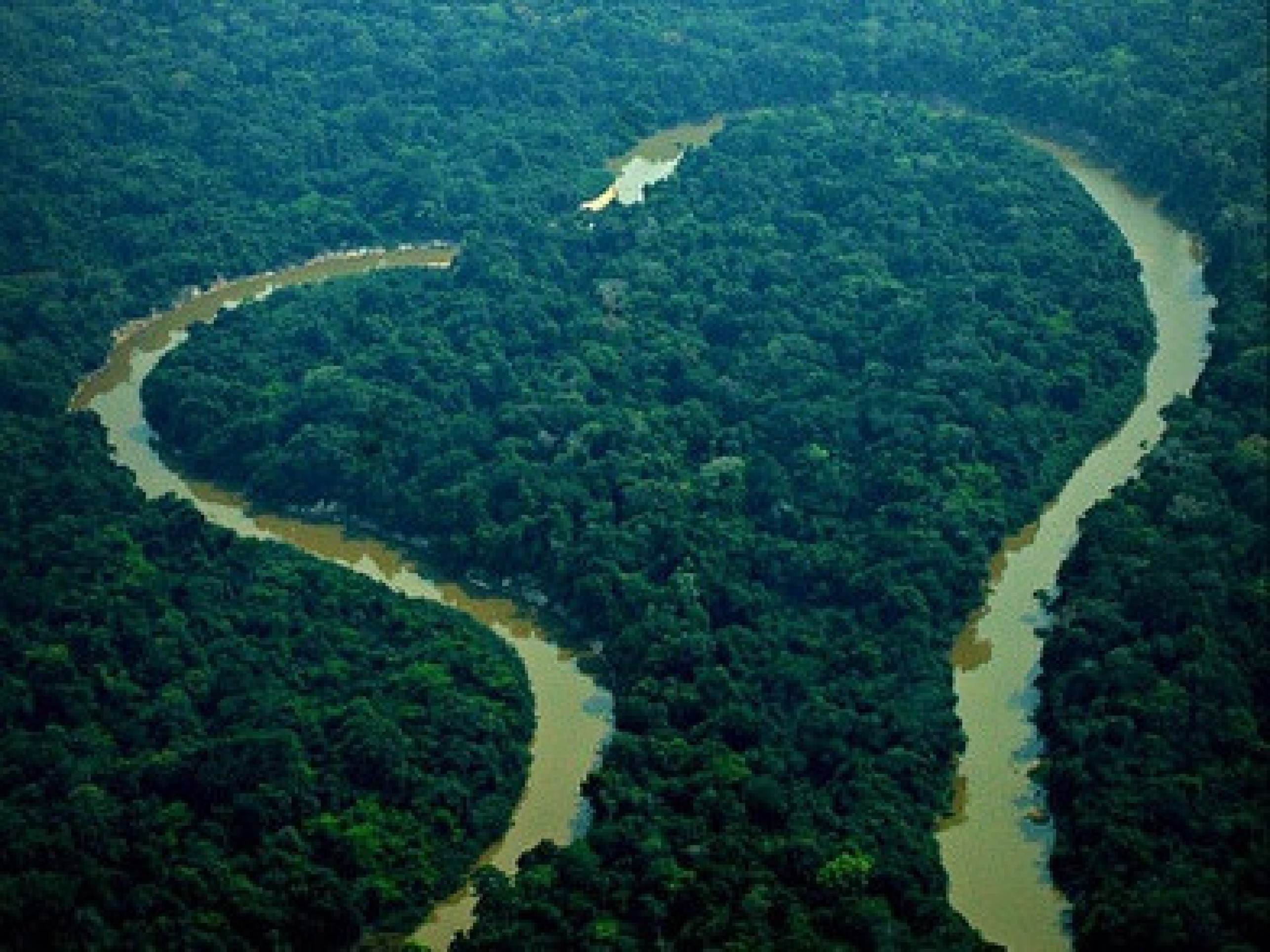 Amazônia Legal registra o menor número de desmatamento da história