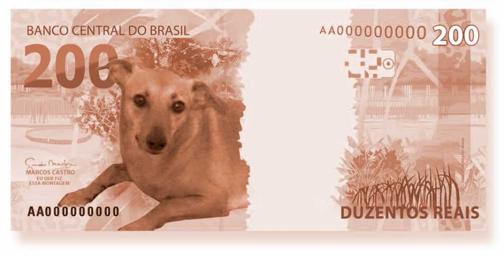 Lançada nota de R$ 200 reais com lobo-guará estampado na cédula