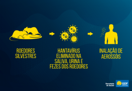 Ciclo de transmissão da doença. 
