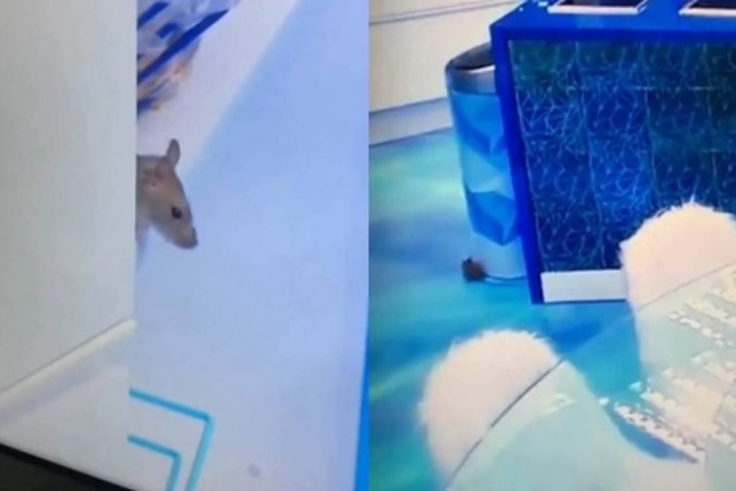  (crédito: Reprodução/Twitter)