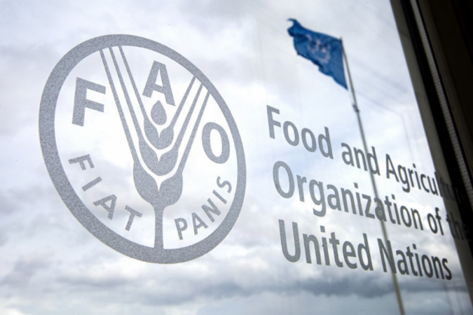 (crédito: Food and Agriculture Organization (FAO)) (crédito: Food and Agriculture Organization (FAO))