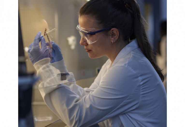 Raquel está desenvolvendo a parte prática da pesquisa na universidade estadunidense