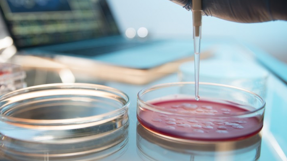 Tomar banho todos os dias pode aumentar infecções, dizem especialistas Tomar banho todos os dias pode aumentar infecções, dizem especialistas
