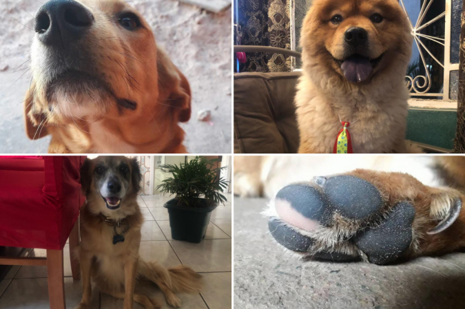  (crédito: Arquivo pessoal)