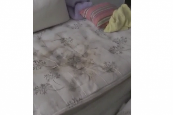 Ambiente insalubre chocou até os policiais que participaram da operação -  (crédito: Material cedido ao Correio)