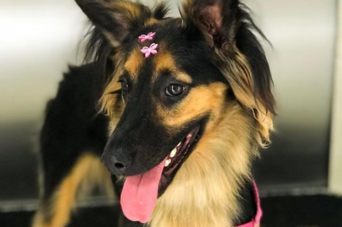  (crédito: Arquivo Pessoal)