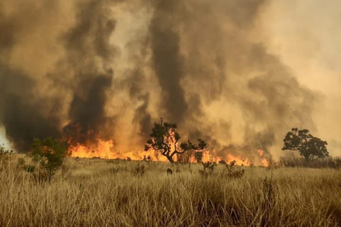  (crédito: Prefeitura de Franco da Rocha/ reprodução)