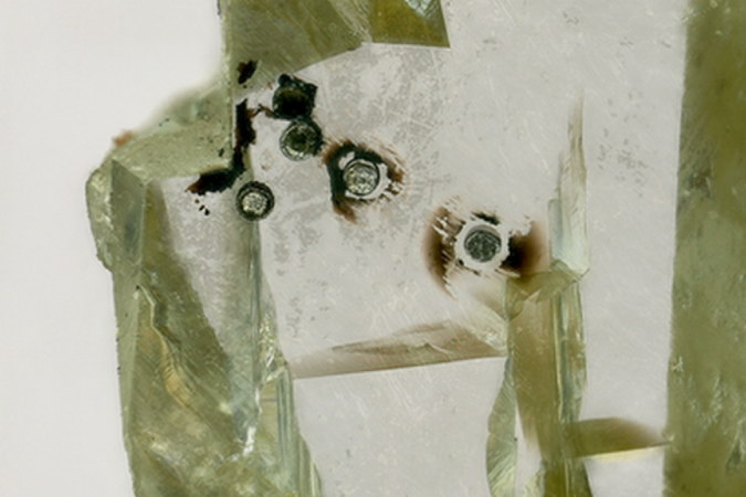  (crédito: Aaron Celestian/NHMLA)