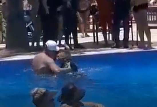 Reprodução/Redes Sociais