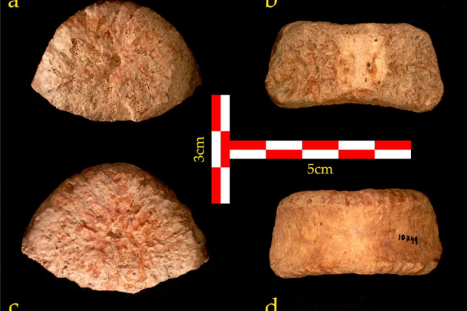  (crédito: DR. ALON BARASH, BAR-ILAN UNIVERSITY)