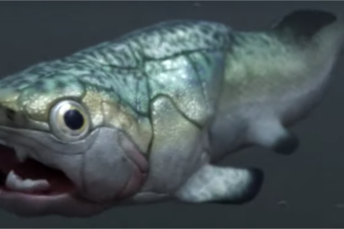 Artist's impression of Gogo fish - (image credit: Paleozoo)