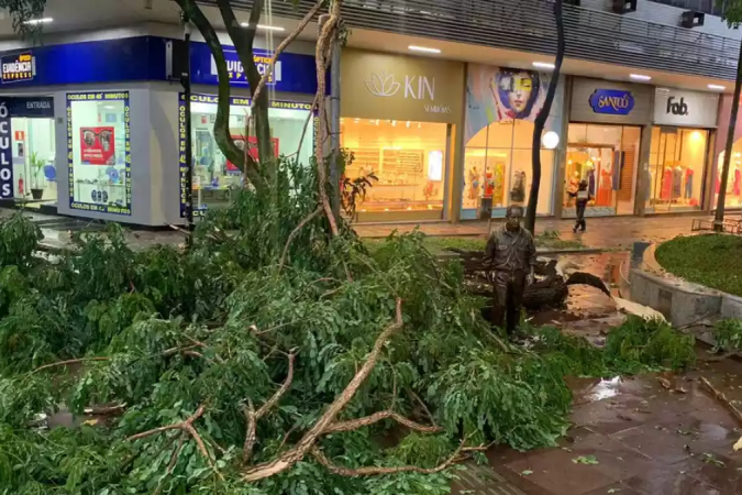 Pancada de chuva com granizo derrubou galhos na Praça da Savassi
