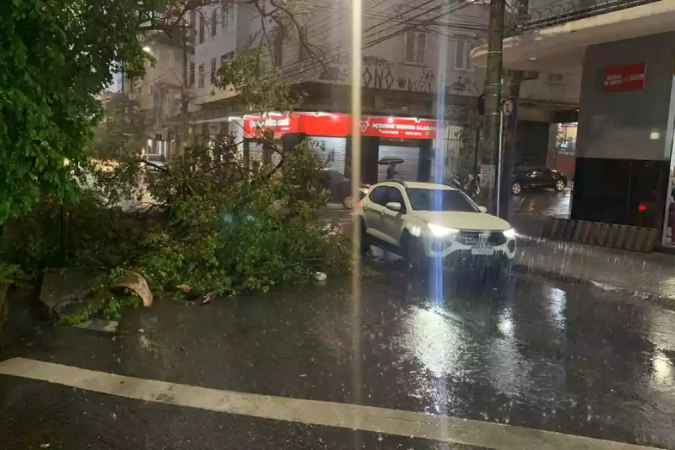 Galhos interrompem uma das duas faixas da Avenida Grão Mogol, no cruzamento com Avenida Uruguai, no Sion
