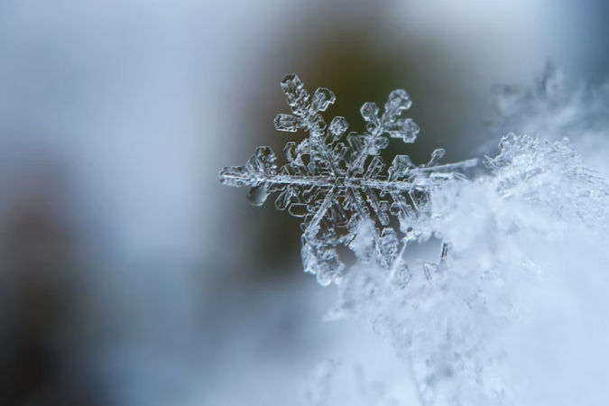  (crédito: Unsplash/Reprodução)