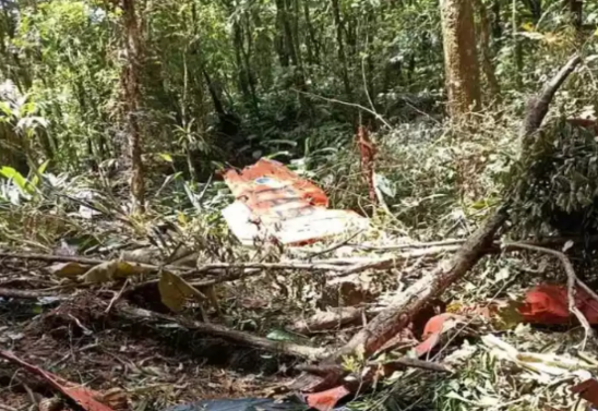 Avião ficou destruído e foi encontardo em uma mata da cidade de Canelinha, em Santa Catarina