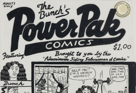 The Bunch's Power Pak Comics, 1979