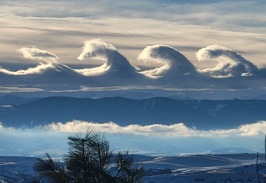 Facebook/ Rachel Gordon