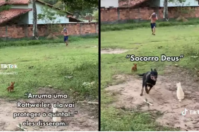 (crédito: Reprodução/ TikTok) (crédito: Reprodução/ TikTok)