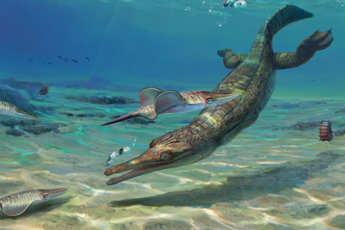 Fossil of ancient marine crocodile found in England