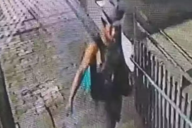 (crédito: Polícia Militar/Divulgação) (crédito: Polícia Militar/Divulgação)