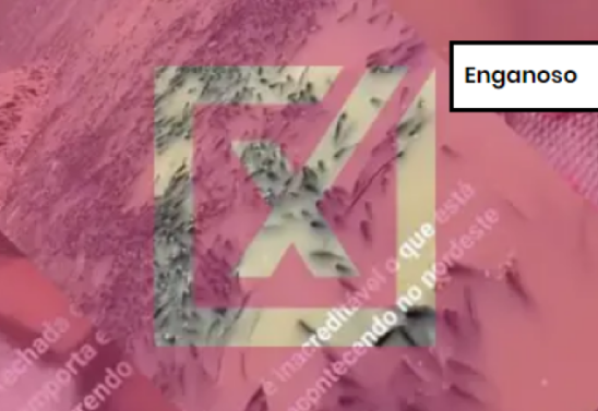 Reprodução/Comprova