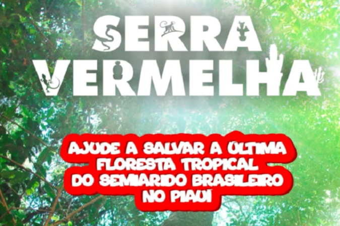 (crédito: Reprodução / Divulgação) (crédito: Reprodução / Divulgação)