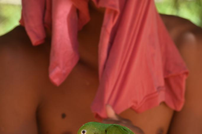 Fotos de Zuleika de Souza na exposição Norte [linha] Sul 