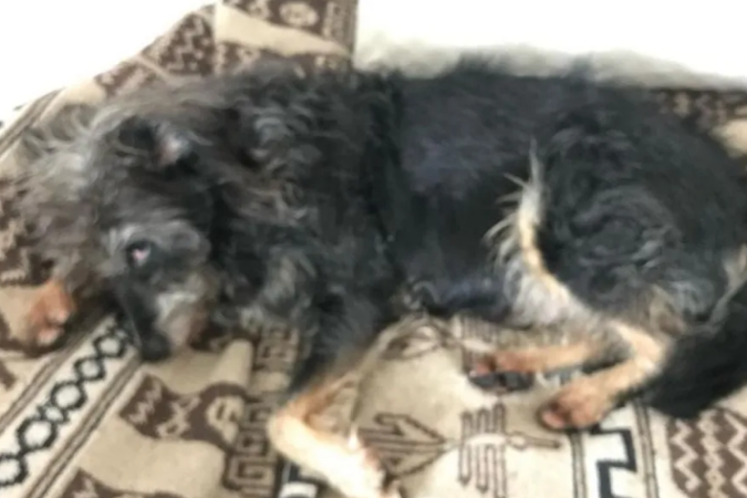  (crédito: Instagram/ reprodução )