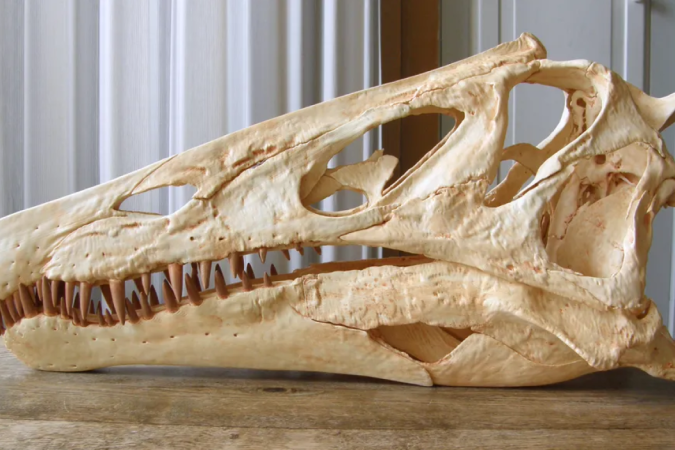 O fóssil do dinossauro Irritator challengeri foi contrabandeado à Alemanha na década de 1990 - (crédito: Reprodução/Twitter @Olof Moleman) O fóssil do dinossauro Irritator challengeri foi contrabandeado à Alemanha na década de 1990 - (crédito: Reprodução/Twitter @Olof Moleman)