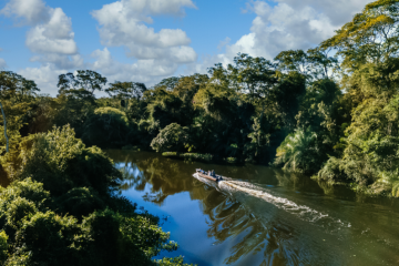 Diálogos Amazônicos: Belém recebe evento sobre soluções e desenvolvimento sustentável
 -  (crédito: Govbr/Divulgação)