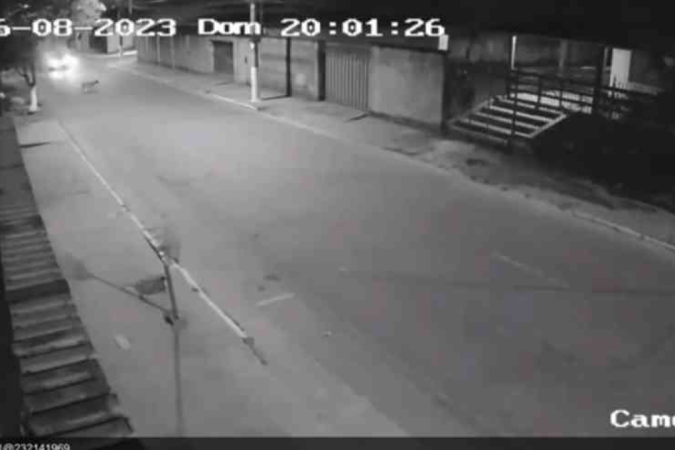 Veja momento em que cão é atropelado por carro em que estava jovem morto - (crédito: EM Gerais) Veja momento em que cão é atropelado por carro em que estava jovem morto - (crédito: EM Gerais)
