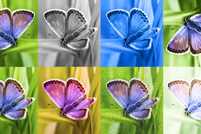 O SynthID identificará imagens geradas por máquinas -  (crédito: Google Deepmind)