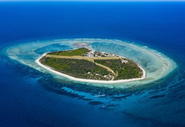 Lady Elliot Island