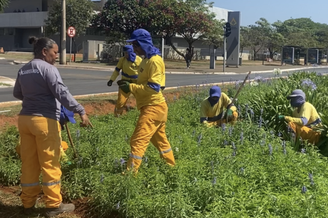 Trabalho de jardinagem em área externa. A supervisora Maria de Lourdes orienta manutenção dos canteiros. - (crédito: Isabela Stanga/CB/D.A. Press (Programa Jornalismo na Prática 2023)) Trabalho de jardinagem em área externa. A supervisora Maria de Lourdes orienta manutenção dos canteiros. - (crédito: Isabela Stanga/CB/D.A. Press (Programa Jornalismo na Prática 2023))