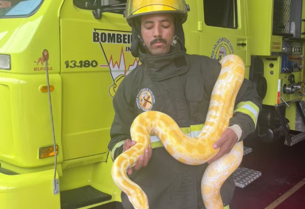 Corpo de Bombeiros Voluntários de Indaial