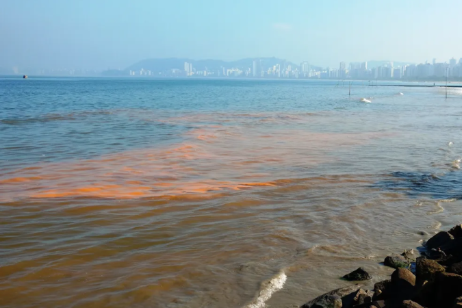 Um trecho da praia de Carro Quebrado foi interditado a fim de evitar a circulação de pessoas. - (crédito: Gisela Bello/Arquivo Pessoal) Um trecho da praia de Carro Quebrado foi interditado a fim de evitar a circulação de pessoas. - (crédito: Gisela Bello/Arquivo Pessoal)