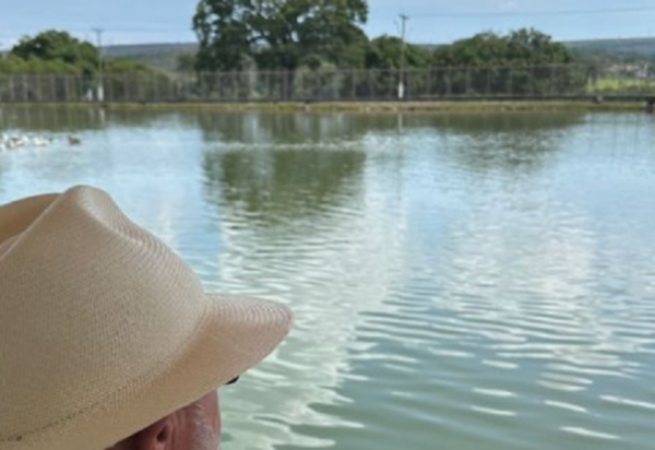 Reprodução / Redes Sociais