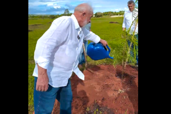 Lula apela para brasileiros que sigam seu exemplo e plantem árvores -  (crédito: Reprodução/Redes Sociais)