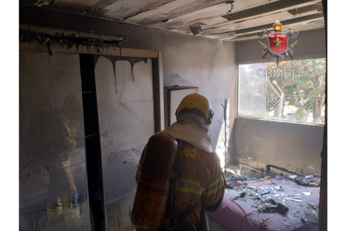 Bombeiros salvaram dois cachorros -  (crédito: CBMDF/Divulgação)