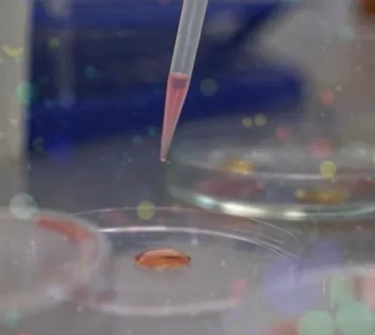 Escorpião produz líquido mais valioso do mundo