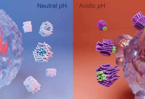 Högberg et al, 2024/Nature Nanotechnology