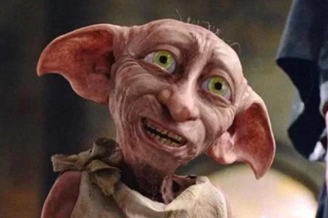 Gatinho que parece com Dobby, de Harry Potter -  (crédito: Reprodução / Redes sociais / Harry Potter)