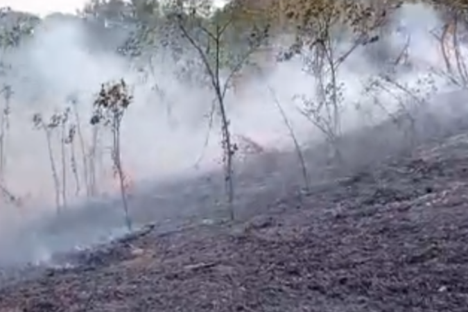 Incêndio no interior de Goiás -  (crédito: Reprodução/PMGO)