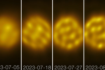 'Bolhas' em movimentos observadas na superfície da estrela R Doradus -  (crédito: ALMA (ESO/NAOJ/NRAO)/W. Vlemmings)